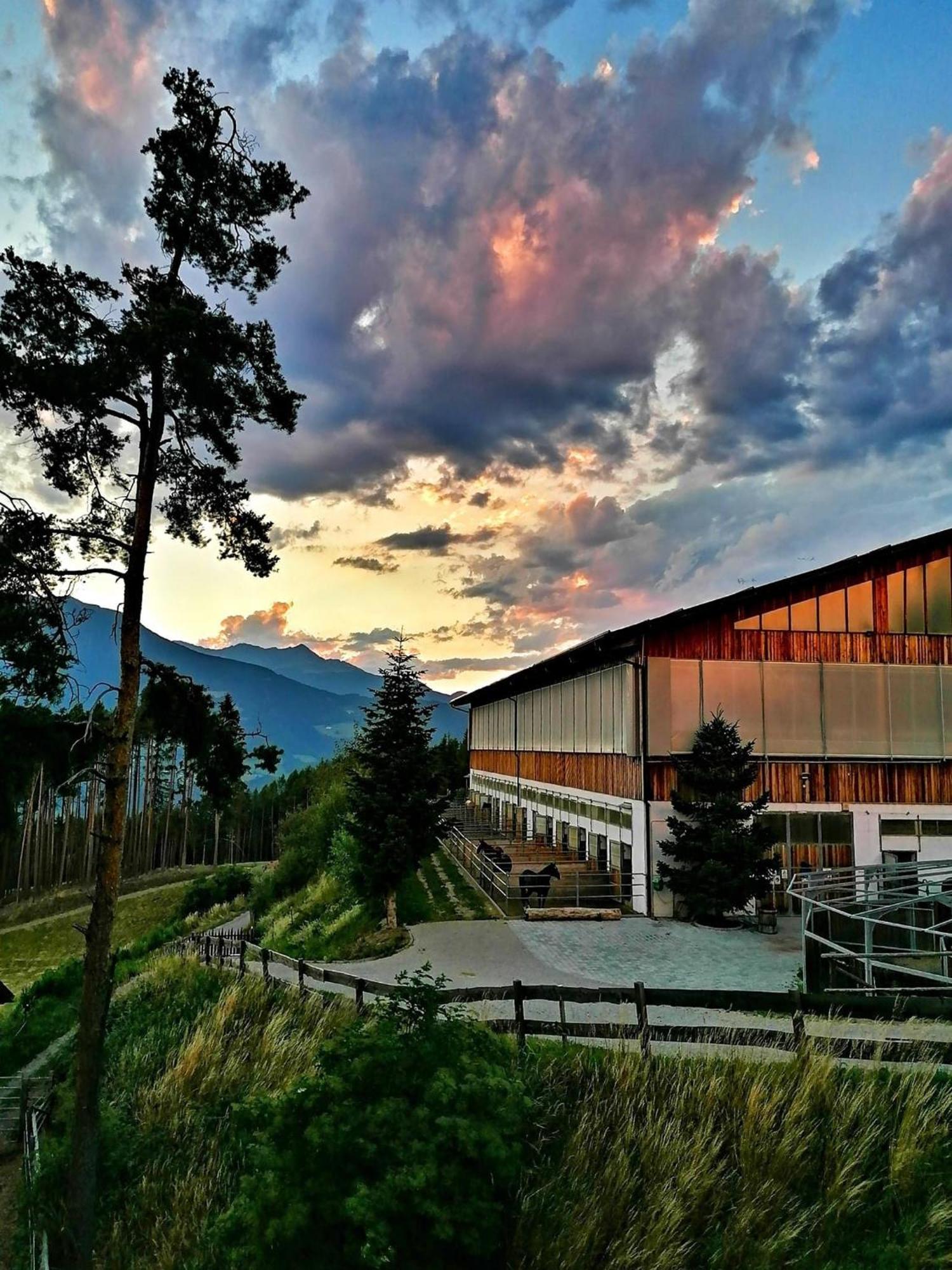 Oberprantschoellhof - Horse Mountain Stable Bressanone Exterior foto